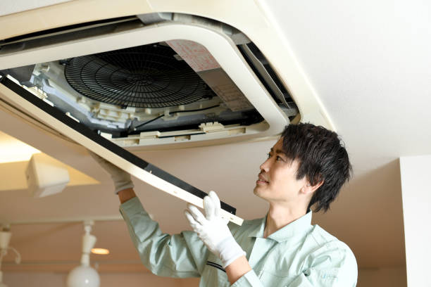 Best Home Air Vent Cleaning  in Awendaw, SC
