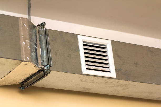 Best Professional Duct Cleaning Services  in Awendaw, SC